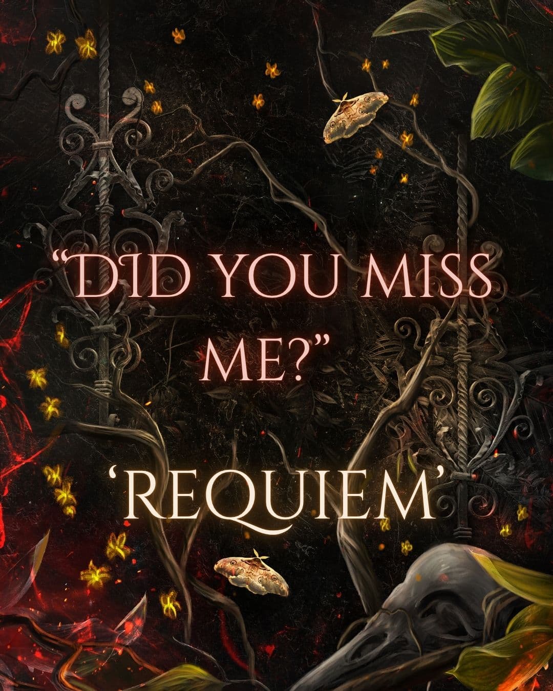 Did you miss me